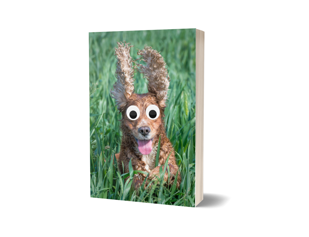 English Cocker Spaniel Journal Notebook