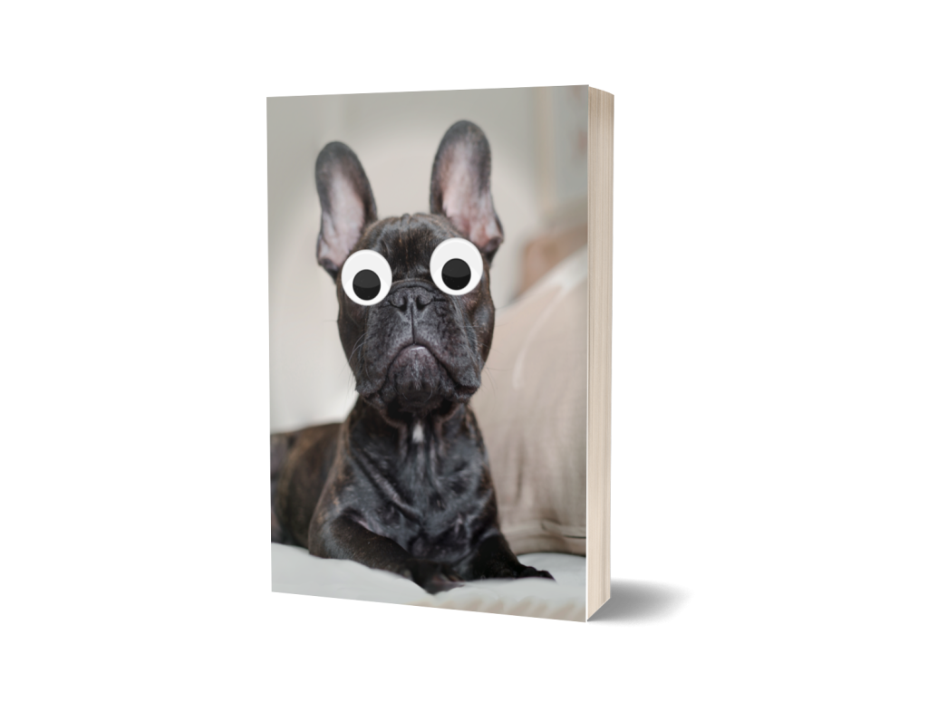 French Bulldog Book