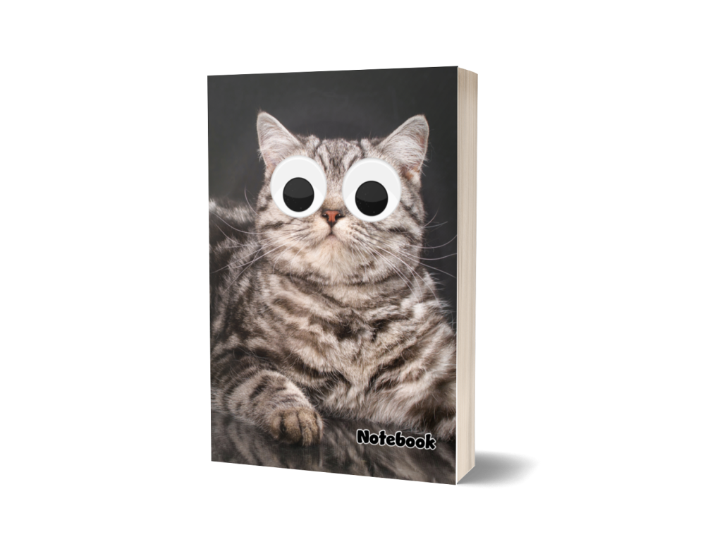 British Tabby Shorthair